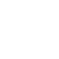 Holiday Carnival